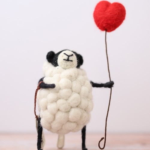 woolly sheep