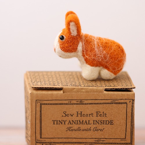cute little rabbit
